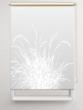 Rollo Reed24 lichtgrau dark, Rollo, Motivrollo, Rollo mit Druck, Fotorollo, bedrucktes Rollo, Fensterrollo,verdunkelndes Rollo, Sonnenschutz Rollo